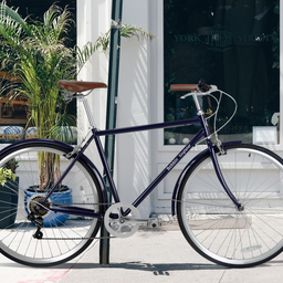 Our New Bobbin Kingfisher Bike