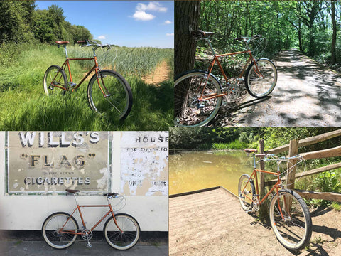 Wagtail Ride Along the Crab and Winkle