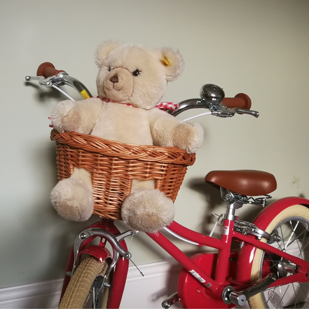 Bobbin Teddy Wicker Basket Bring Teddy On The Bike Ride