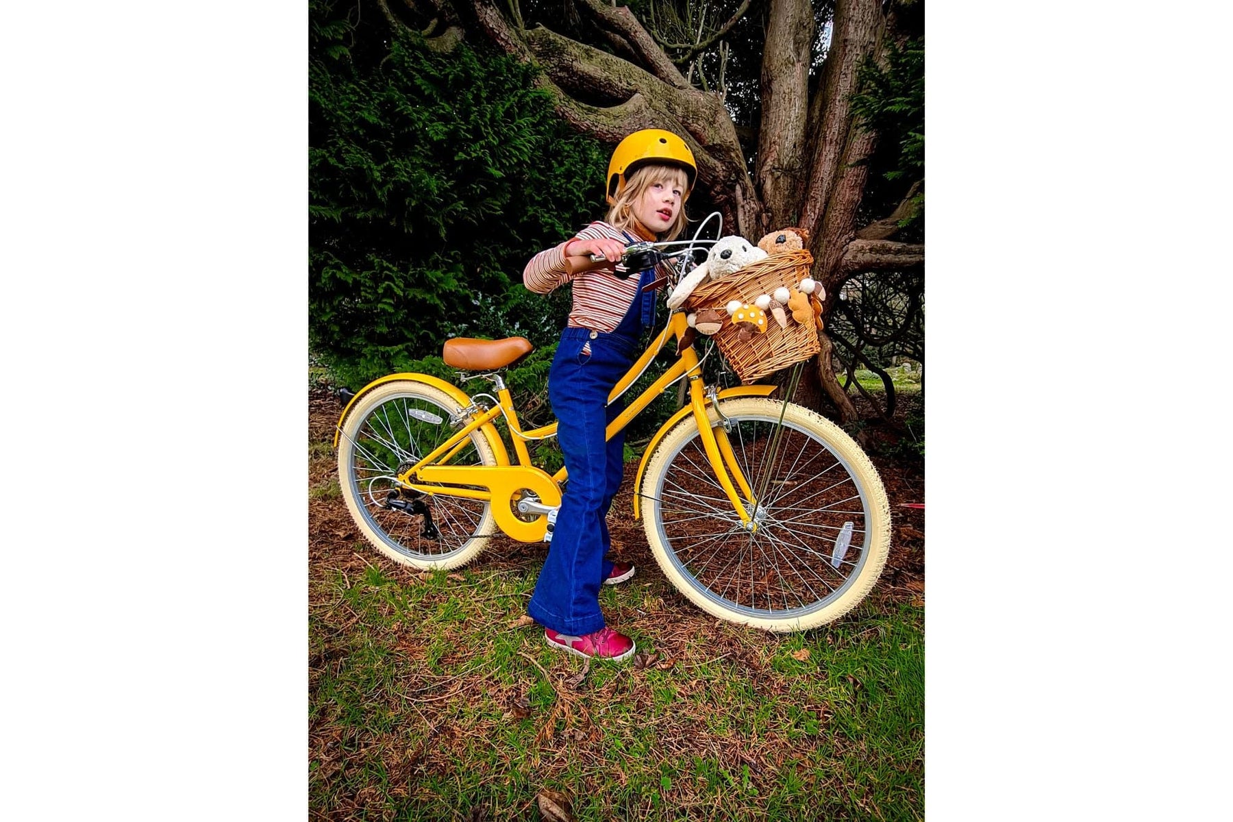 bobbin gingersnap bike 24