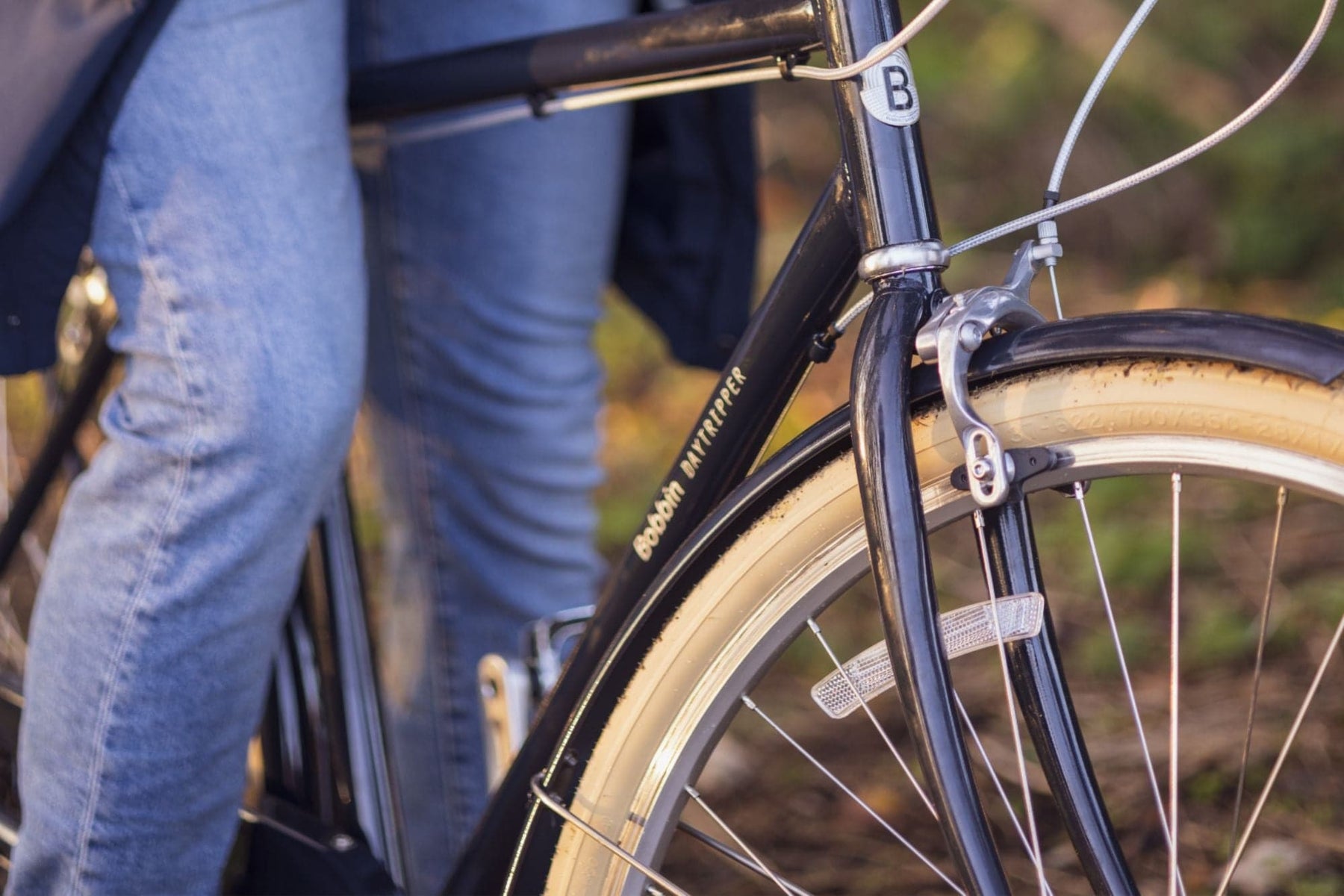 Daytripper Adult Bike | 7-Gear Bicycle - Bobbin Bikes