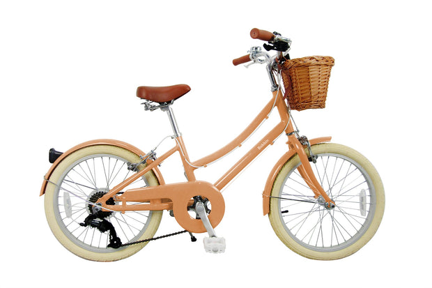 Brownie Junior 20