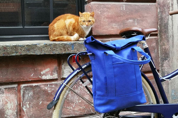 Bicicleta adulto Bobbin Brownie  Comprar en mamasandbabys Color Mody blue