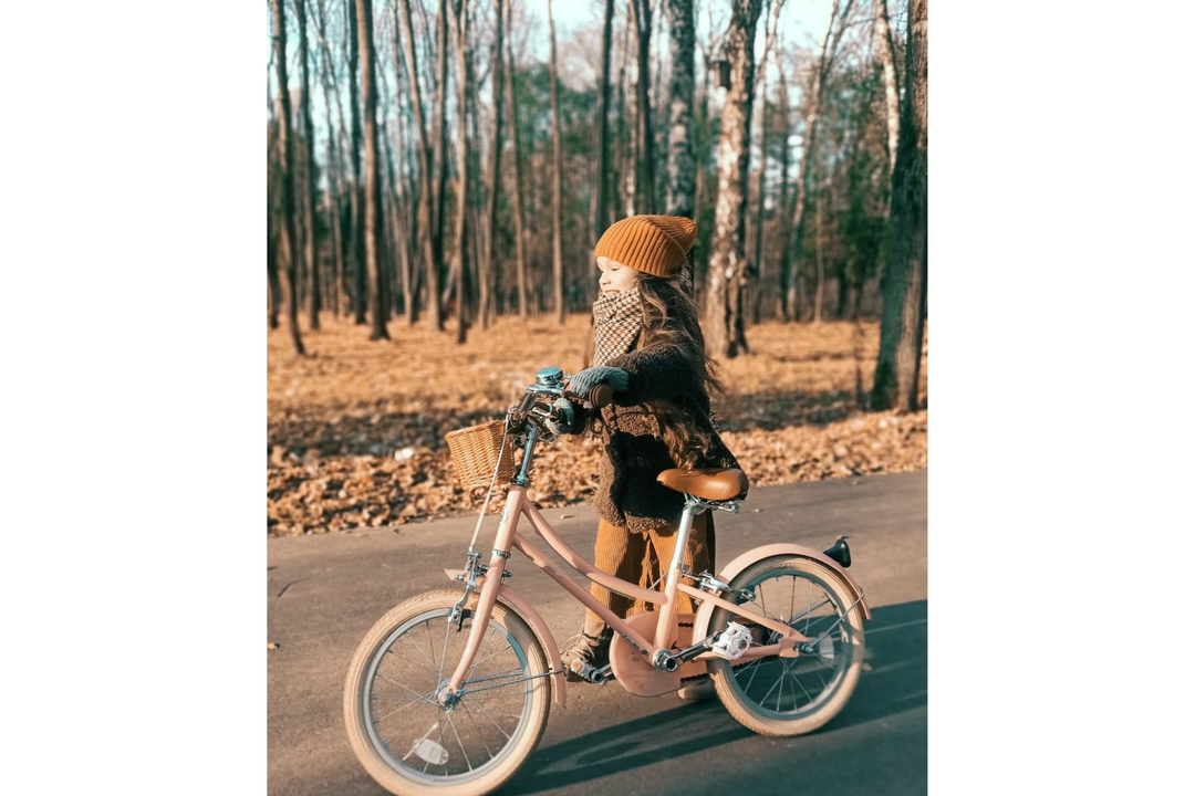 Bobbin bicycles gingersnap 20 shop