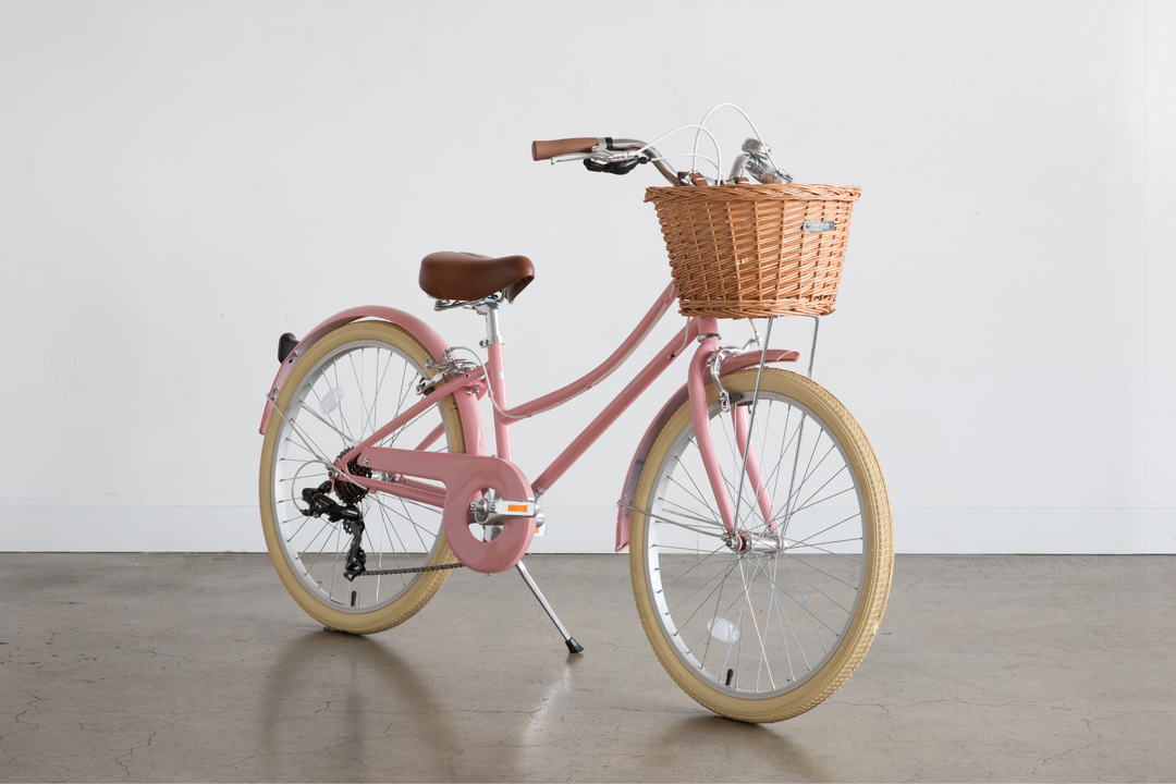 Bobbin gingersnap bike 24 online