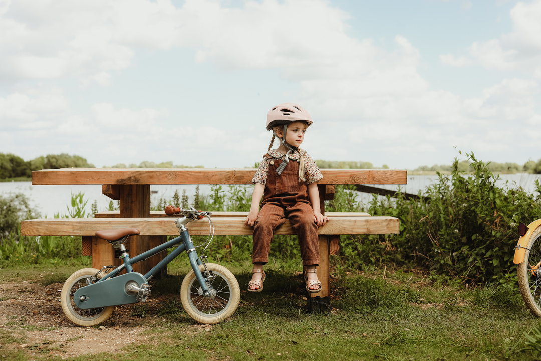 Skylark 12 Wheel Kids Bikes Bobbin Bicycles Shop Now